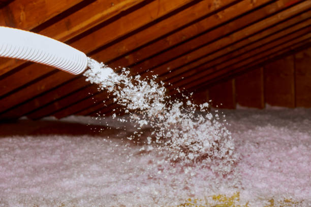 Best Geographic-Specific Insulation Services in Auburn, NY
