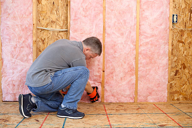 Best Eco-Friendly Insulation in Auburn, NY