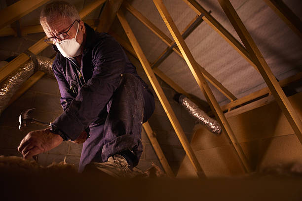 Best Residential Insulation in Auburn, NY